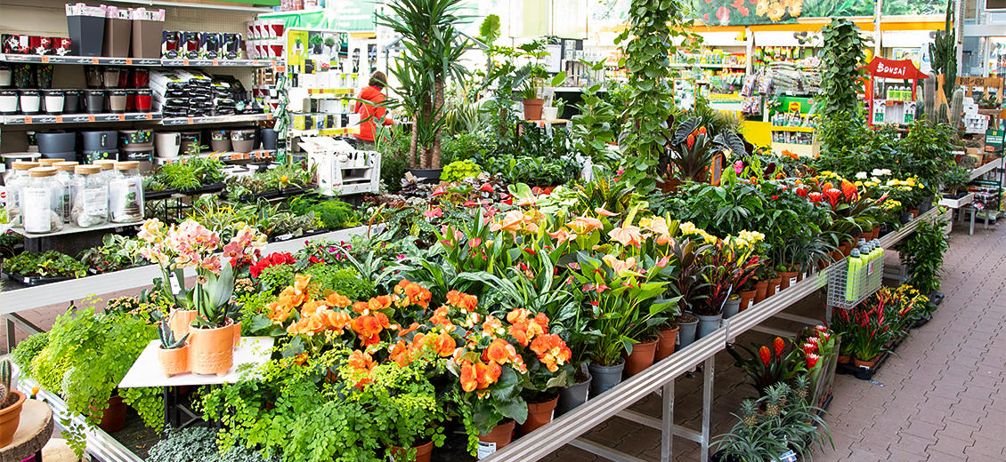 Obi Markt Dresden Weißig An Der Prießnitzaue Dresden Dein OBI Markt Dresden Weißig, An der Prießnitzaue 3