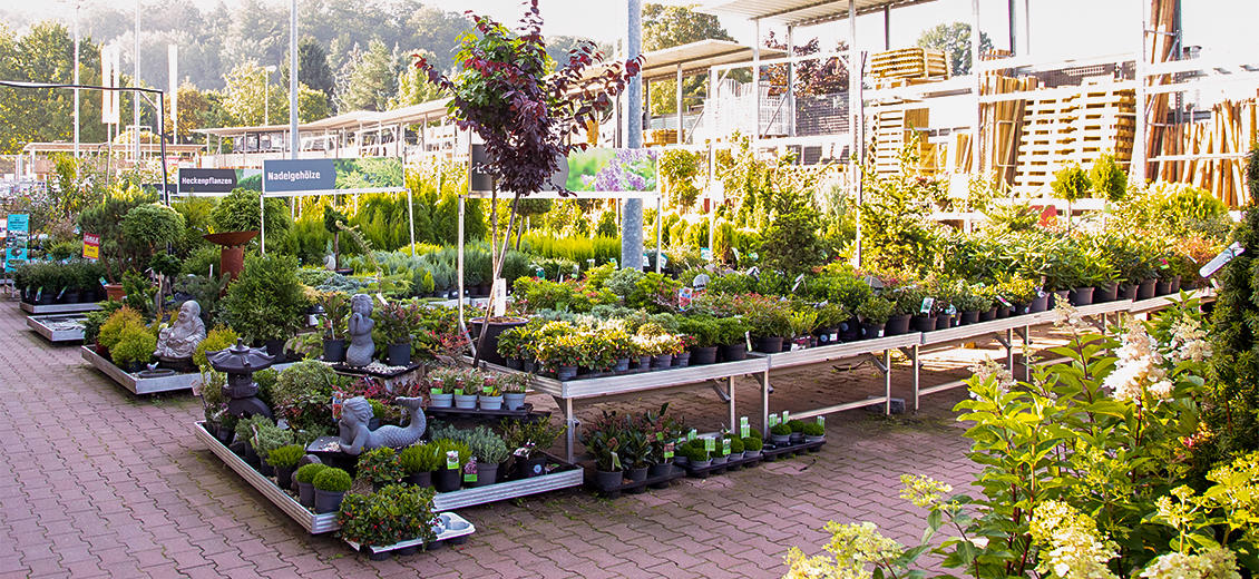 Obi Markt Dresden Weißig An Der Prießnitzaue Dresden Dein OBI Markt Dresden Weißig, An der Prießnitzaue 3
