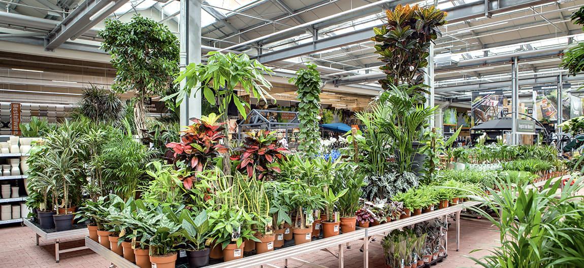 Gartencenter Rostock Gmbh Hamburger Straße Elmshorn OBI Gartencenter Elmshorn | alles für deinen Garten