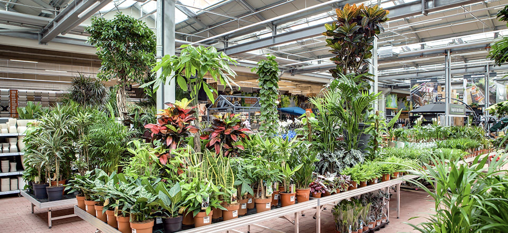 OBI Gartencenter Heidelberg | alles für deinen Garten